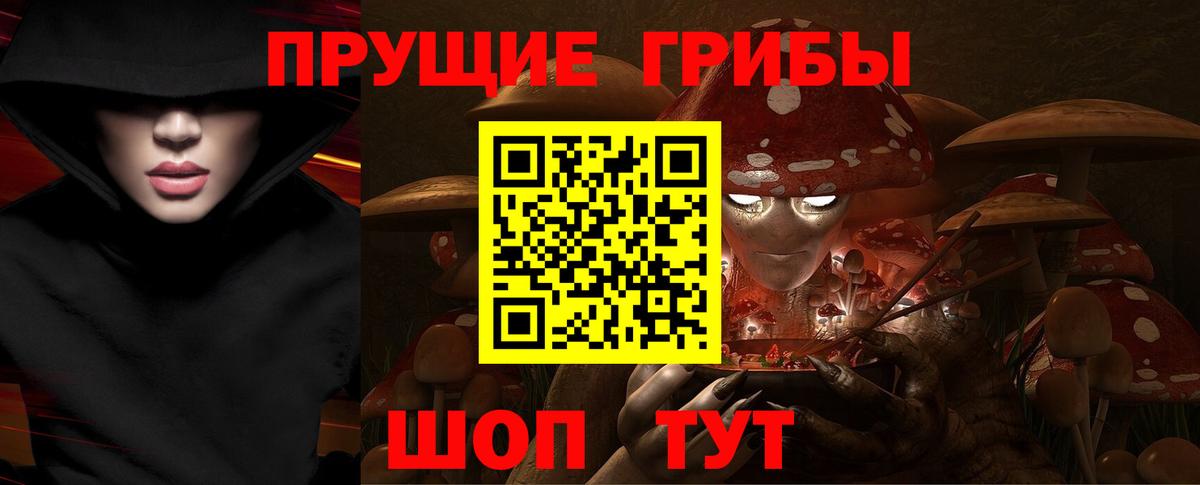 магазин  наркотиков  Псилоцибиновые грибы GOLDEN TEACHER  Вход с VPN  Гудермес 